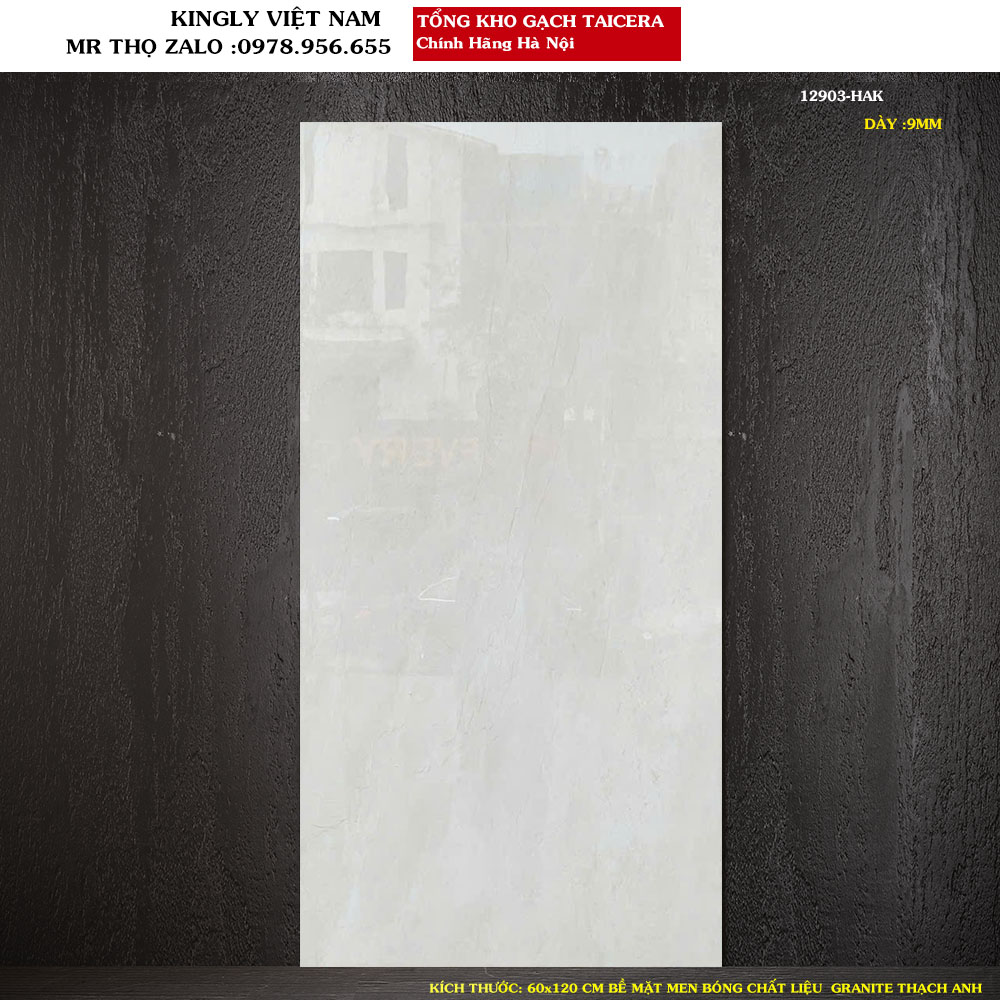 Gạch Taicera Kích thước 60x120 cm 12903 Loại 1